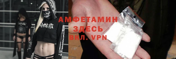 крисы Алзамай
