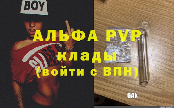 крисы Алзамай