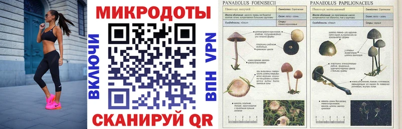 нарко площадка телеграм  Динская  Галлюциногенные грибы прущие грибы 